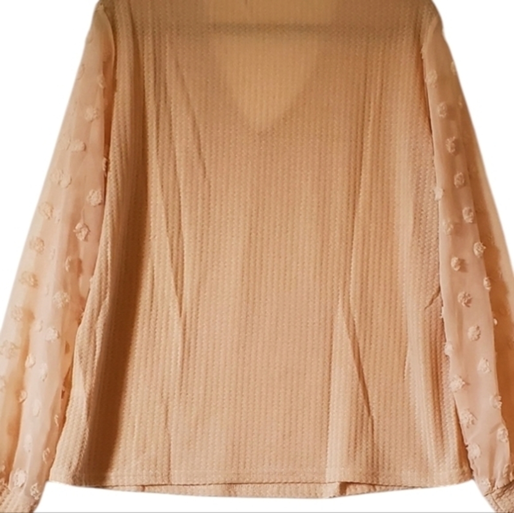 Cream Soft Dressy Blouse‎ Top Sheer Sleeves Women Size 2XL NWOT - Picture 3 of 9